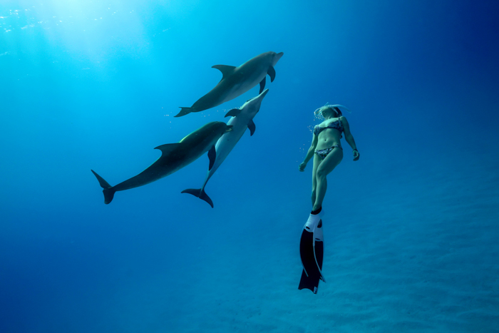 2023年6月 バハマ・ビミニ諸島　Photo by JUN HASEGAWA