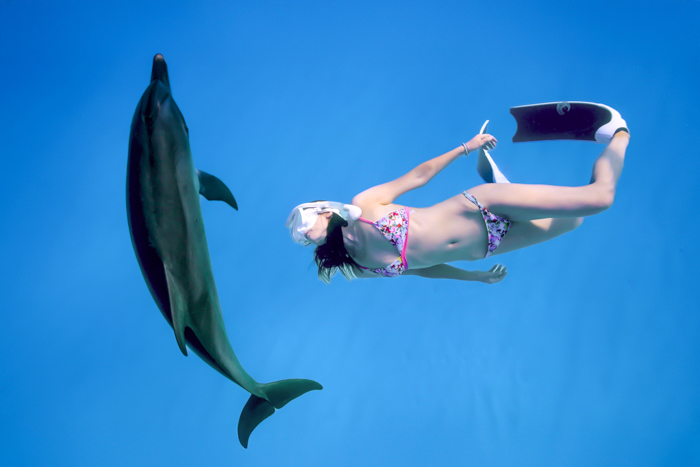 2023年6月 バハマ・ビミニ諸島　Photo by JUN HASEGAWA