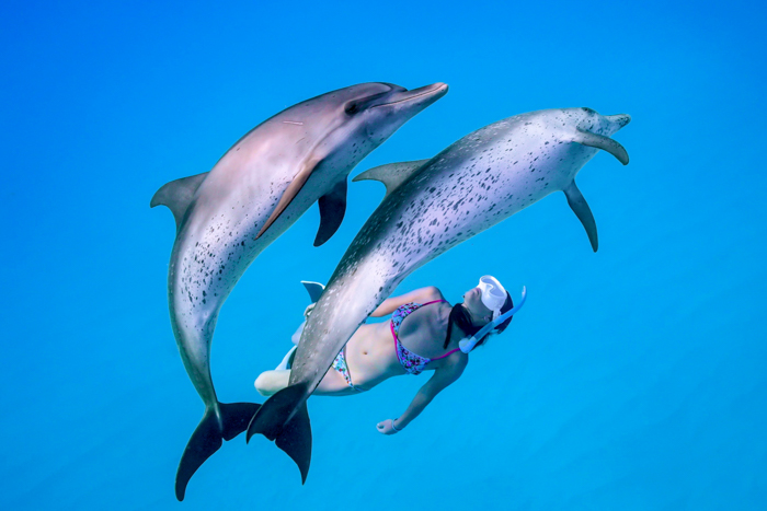 2023年6月 バハマ・ビミニ諸島　Photo by JUN HASEGAWA