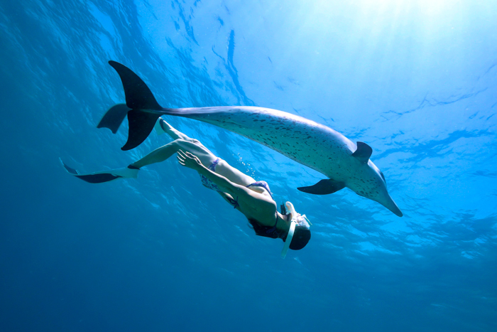 2024年6月 バハマ・ビミニ諸島　Photo by JUN HASEGAWA