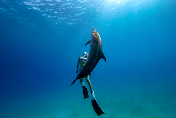 2023年6月 バハマ・ビミニ諸島　Photo by JUN HASEGAWA