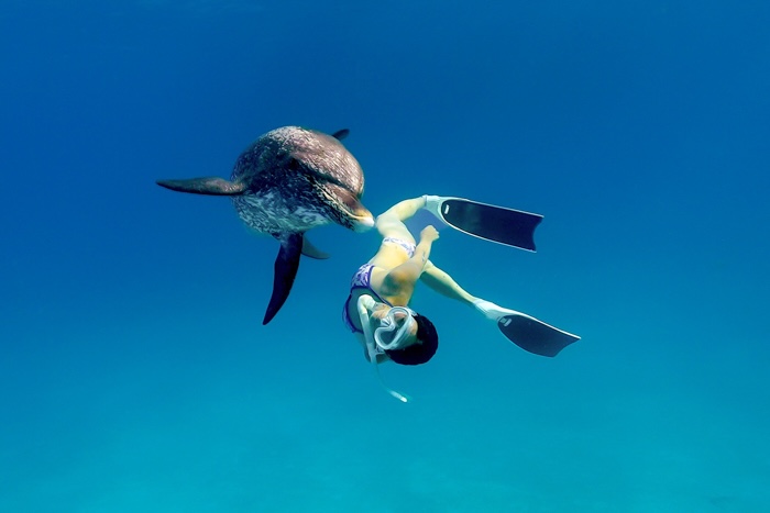 2023年6月 バハマ・ビミニ諸島　Photo by JUN HASEGAWA