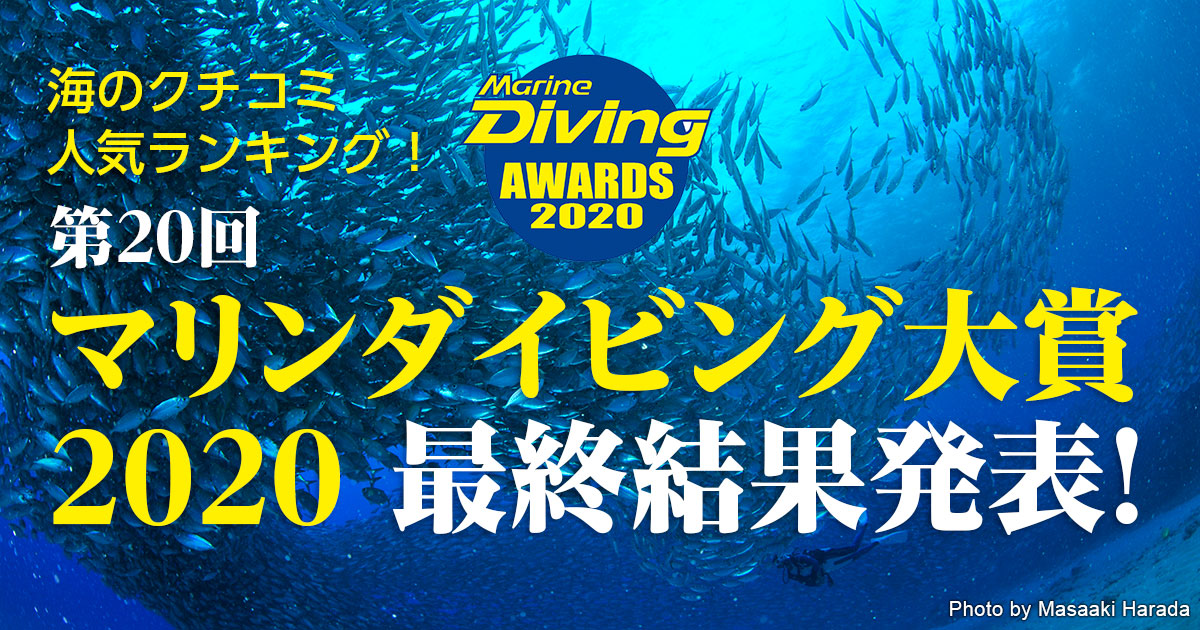 海の人気ランキング マリンダイビング大賞 最終結果発表 マリンダイビング大賞 Marine Diving Web マリンダイビングウェブ