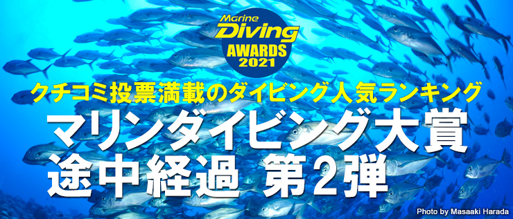 海の人気ランキング マリンダイビング大賞21 中間結果第2弾発表 マリンダイビング大賞 Marine Diving Web マリンダイビングウェブ