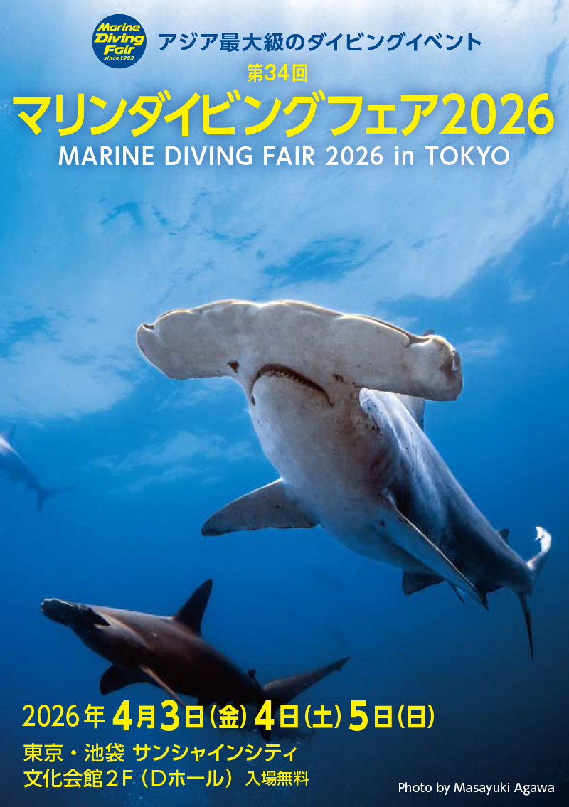 第34回マリンダイビングフェア2026は国内や海外の海情報、旅情報、ダイビングライセンス講習の取得方法も入手できます