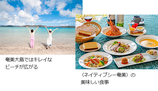 〈ネイティブシー奄美〉2名様食事付き無料宿泊券　１名