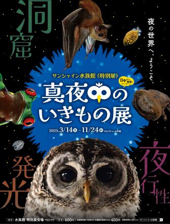 真夜中のいきもの展