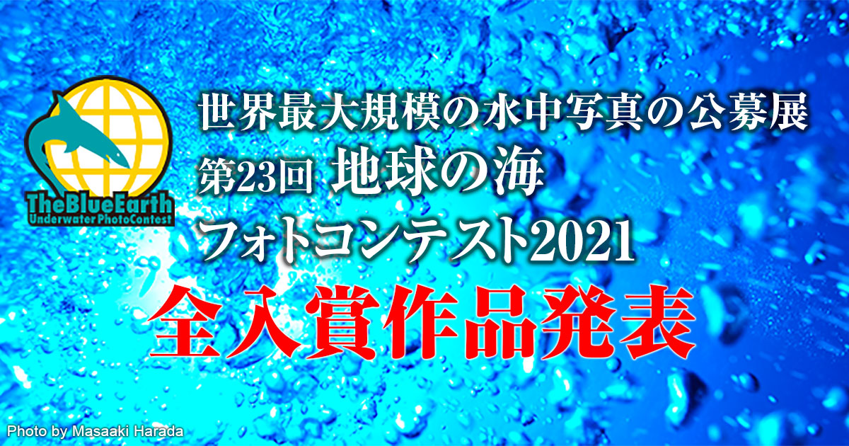 地球の海フォトコンテスト21全入賞作品発表 地球の海フォトコンテスト Marine Diving Web マリンダイビングウェブ