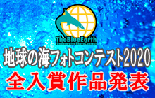 地球の海フォトコンテスト2020 全入賞作品