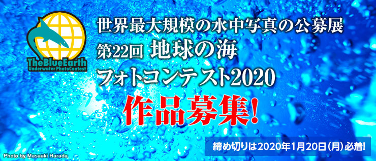地球の海フォトコンテスト2020