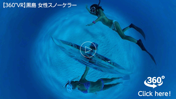 浅瀬の明るい水中で二人の女性スノーケラーが上下左右を優雅に泳ぐ様子を撮影。
