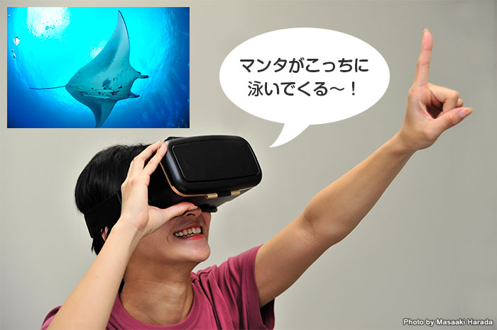 VRゴーグルで水中360°動画を観ると、まるで本当に海の中にいるかのように迫力の映像が楽しめる