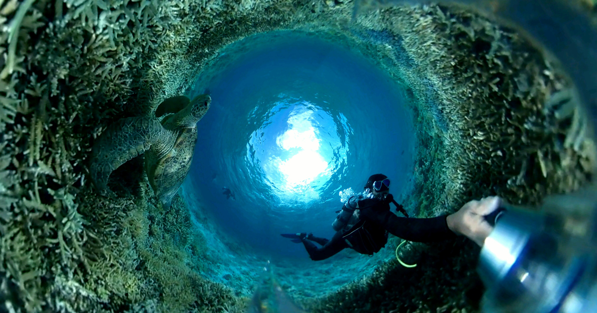 水中360˚動画集 UnderWater 360˚ VR Gallery｜水中写真｜Marine Diving