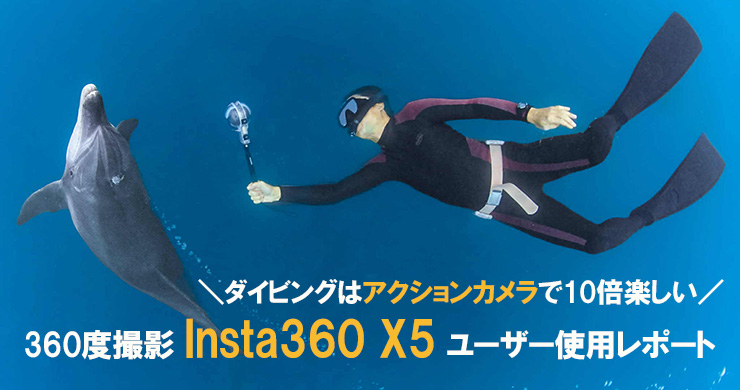 UMIさん専用 og.jpg