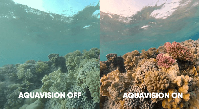 「Insta360 ONE R」で撮影した映像は、Insta360アプリでの編集がとても便利。特に水中撮影では、AquaVisionが大活躍！