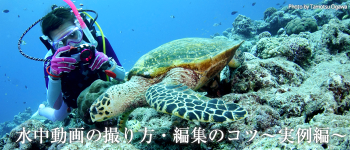 水中動画の撮り方 編集のコツ 実例編 Marine Diving Web マリンダイビングウェブ