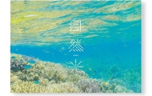 むらいさち『自然光』特別インタビュー