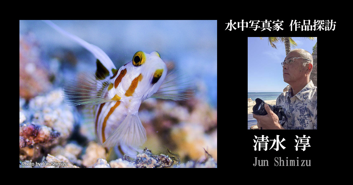 清水 淳｜水中写真家 作品探訪｜Marine Diving web（マリンダイビング