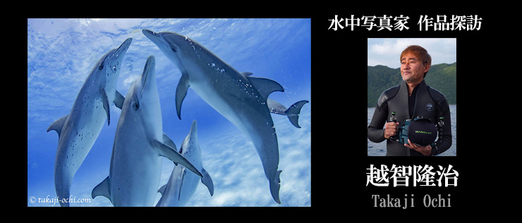 水中写真家 作品探訪