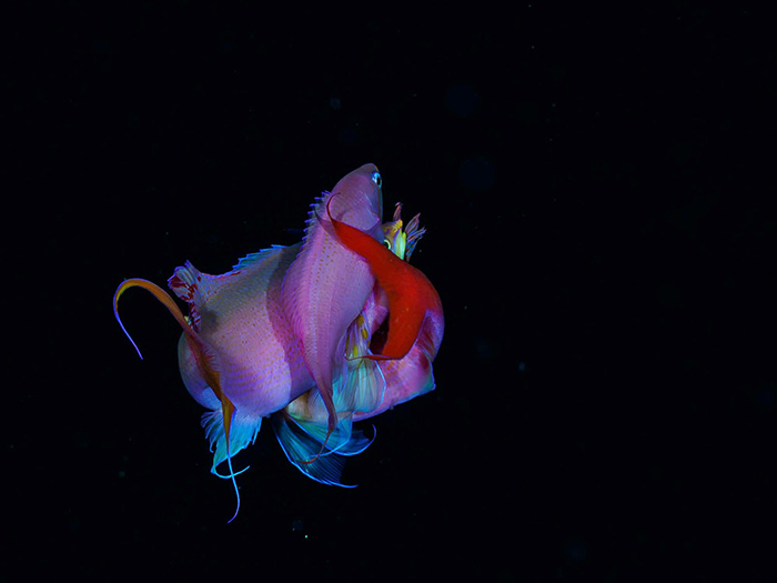 （写真／茂野優太）