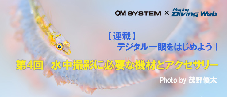 デジタル一眼を始めよう！必要な機材・アクセサリーズ