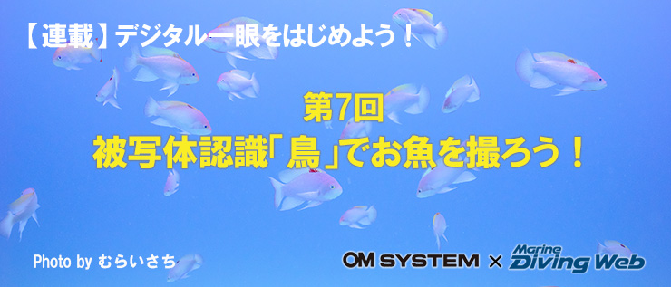 デジタル一眼、始めよう！