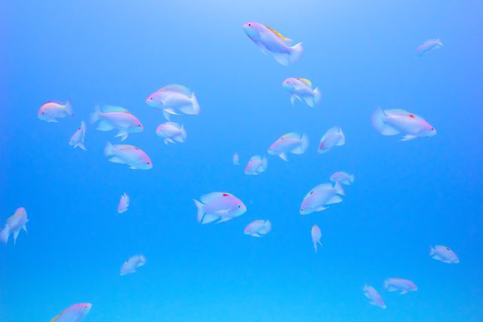 （写真／むらいさち）