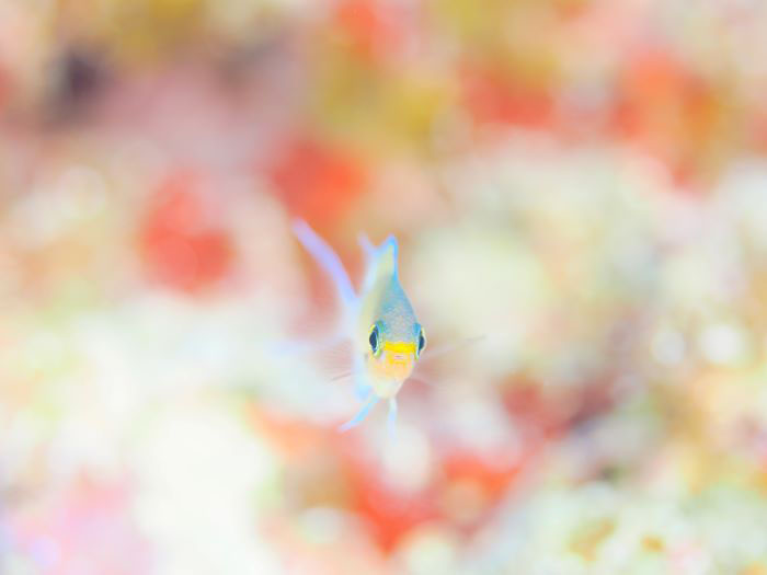 （写真／むらいさち）