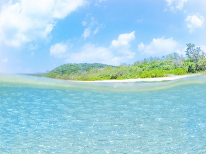 機材の重さや浮力の関係で不安定になりがちな反水面の撮影もバッチリです。（写真／むらいさち）