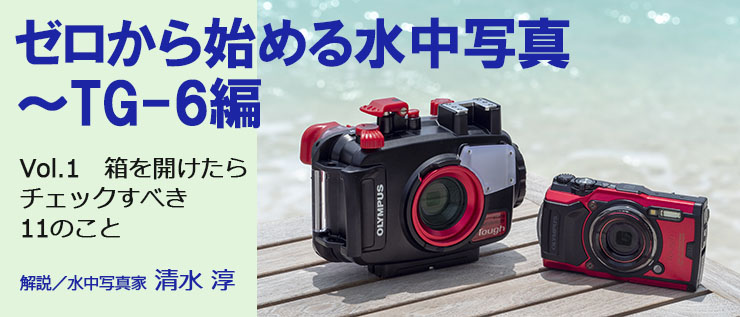 専門店では OLYMPUS オリンパス TG-6 RED（予備バッテリ、チャージャ付