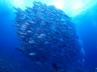 沖永良部島ギンガメトルネード