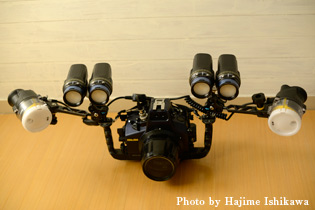 カメラ:ニコンD800  レンズ:AF105mmマクロ  ハウジング:SEA＆SEA MDX800  ライト:RG BLUE 2×2