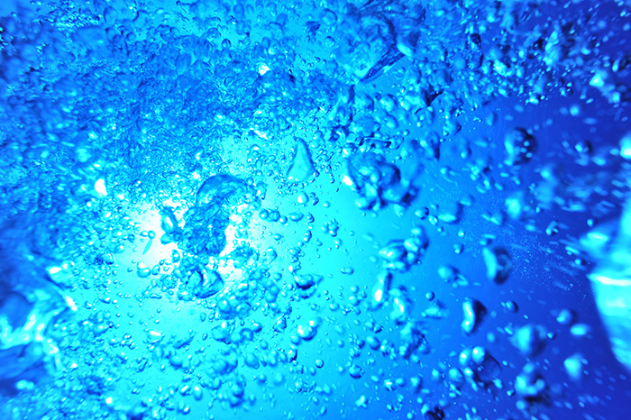 写真／マリンフォトライブラリー