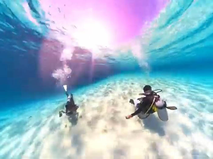 写真(動画より)/五味川浩史(ダイビングサービスコナン)