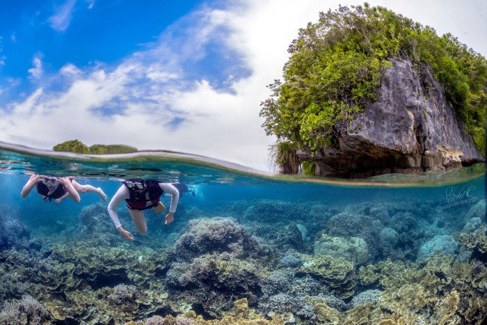 スノーケリングでもたっぷり楽しめる最高の海
