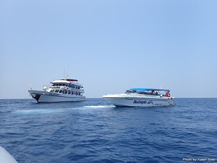 アンダマン海一番人気の「リチェリューロック」で、ダイブクルーズ船（左）とデイトリップ用のボート（右）が並んでいた