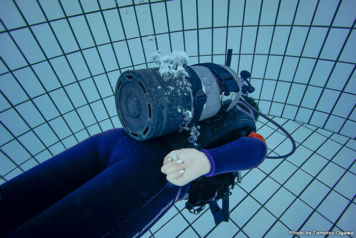腰にあるダンプバルブを実際に水中で使うと、こんな感じになる。TUSA製