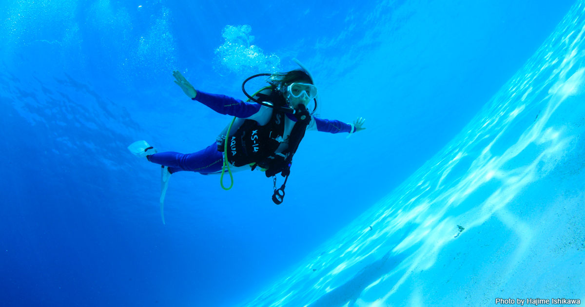基礎から分かる中性浮力 写真付き ダイビングスキルアップ術 スキル Marine Diving Web マリンダイビングウェブ