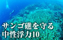 サンゴ礁を守る中性浮力10