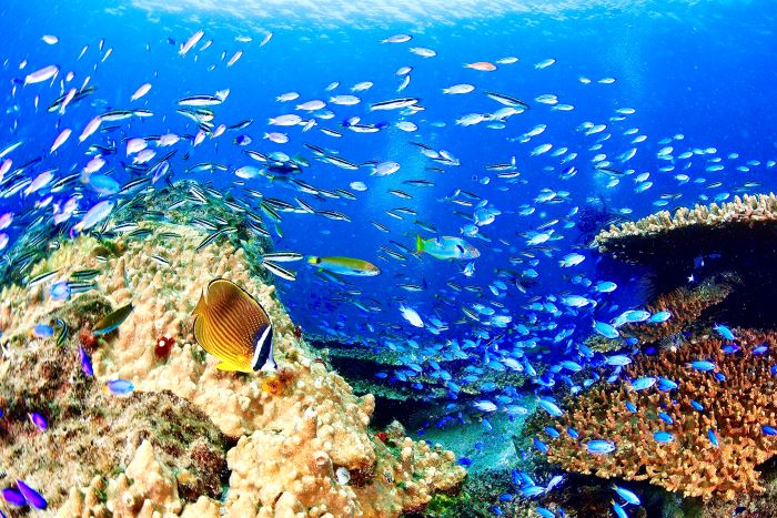 撮影：山崎詩郎