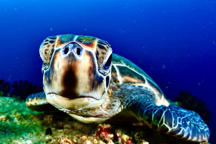 撮影：山崎詩郎