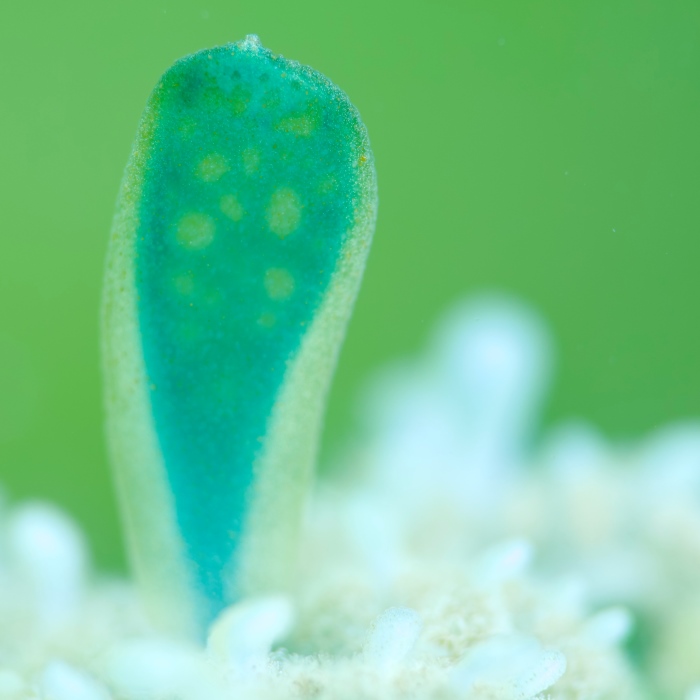 撮影：山崎詩郎