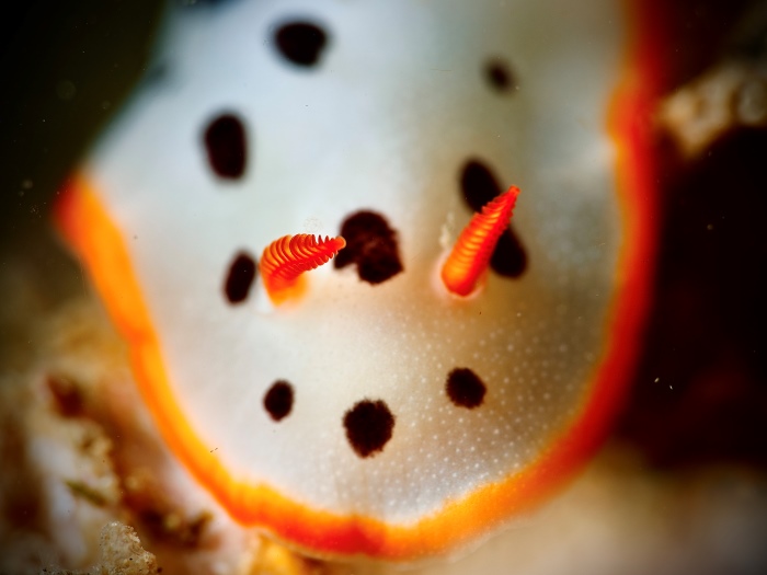 撮影：山崎詩郎