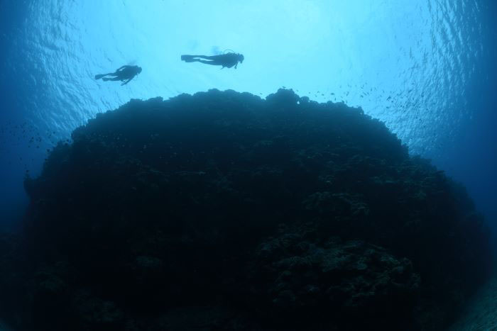 「浮力」の正体は、上下の水圧の差