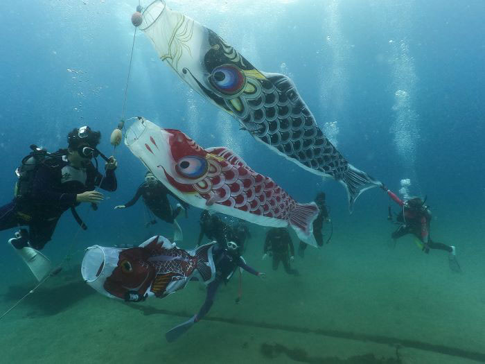 潜りに行った西伊豆の黄金崎の海には、鯉のぼりならぬ「鯛のぼり」があって記念写真にぴったりでした