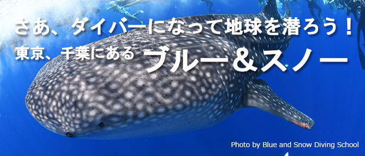 ブルー&スノー