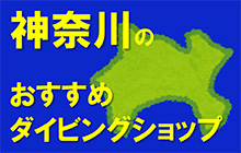 神奈川のおすすめダイビングショップ＆スクール