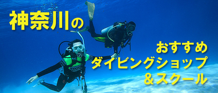神奈川のおすすめダイビングショップ＆スクール