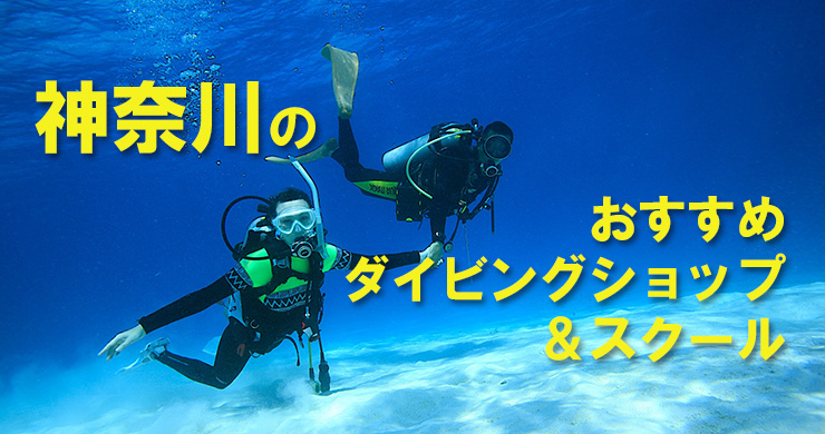 神奈川のおすすめダイビングショップ＆スクール一覧｜ダイビングの始め