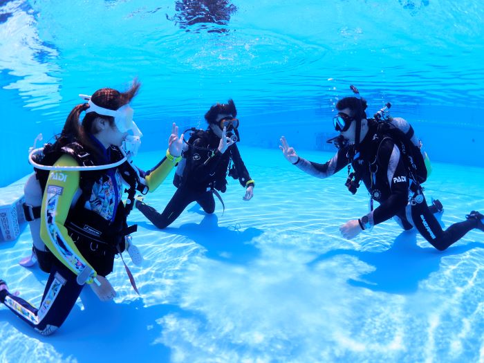 東京のおすすめダイビングショップ＆スクール
